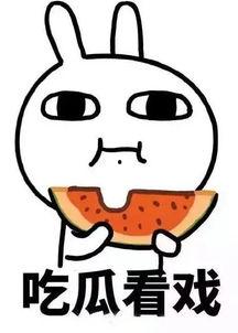 娱乐吃瓜酱图片搞笑,笑料横生的搞笑瞬间大盘点！